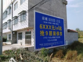 汝州墙体广告质量分析
